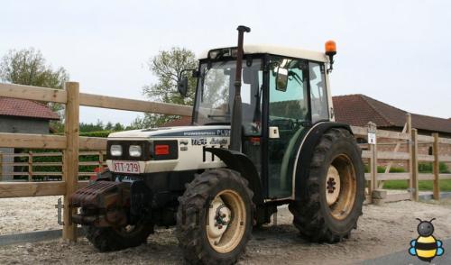 Lamborghini 775 specificaties